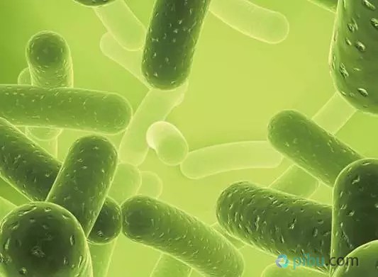 2025中国合成纤维行业市场规模与产业链